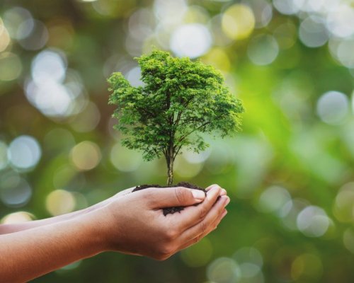 Sustainable Solutions