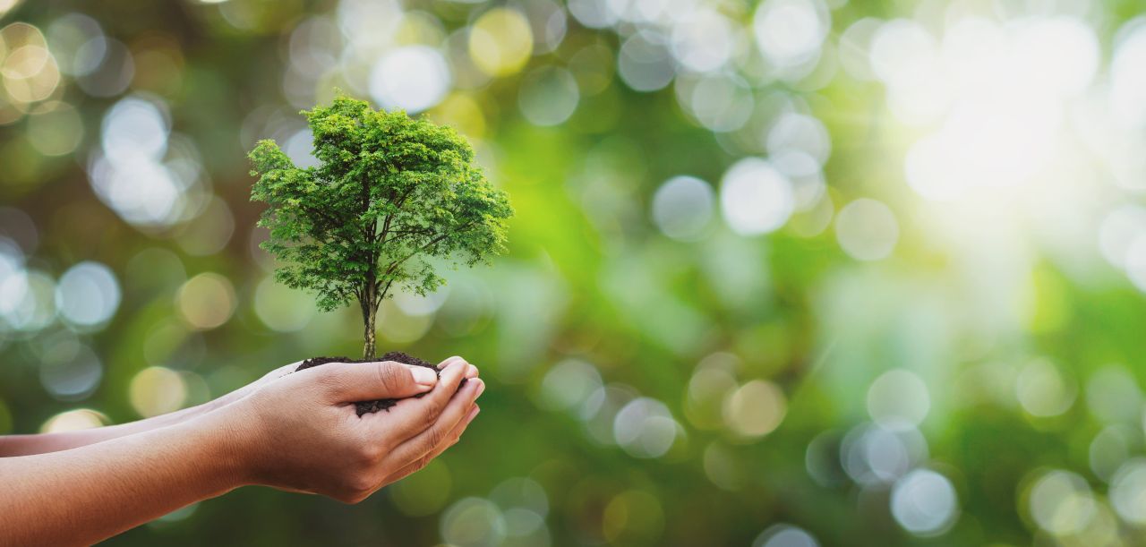 Most environmentally friendly solutions